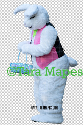 Easter Bunny -  Easter Bunny Clip Art - Easter Bunny Rabbit Cut Out  - Easter Overlay - Bunny PNG - File 2855