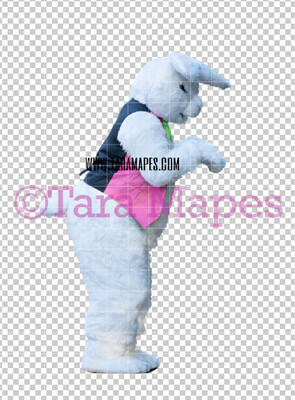 Easter Bunny -  Easter Bunny Clip Art - Easter Bunny Rabbit Cut Out  - Easter Overlay - Bunny PNG - File 2830