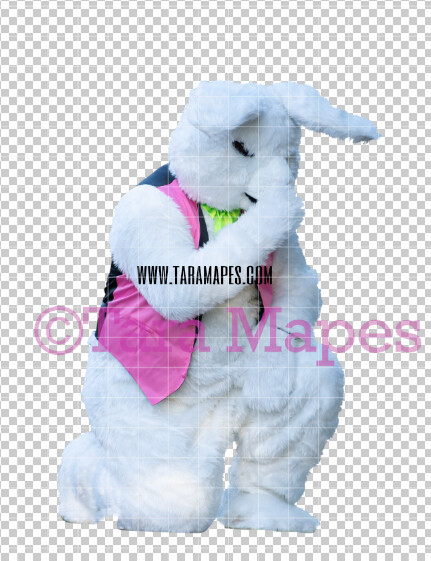 Easter Bunny - Easter Bunny Clip Art - Easter Bunny Rabbit Cut Out - Easter Overlay - Bunny PNG - File 2827
