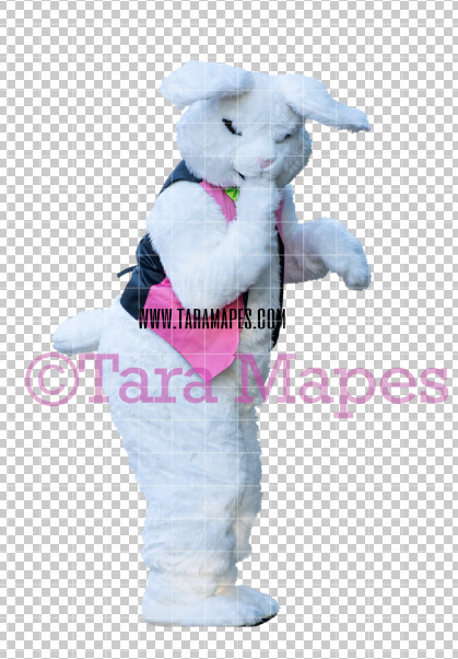 Easter Bunny - Easter Bunny Clip Art - Easter Bunny Rabbit Cut Out - Easter Overlay - Bunny PNG - File 2832