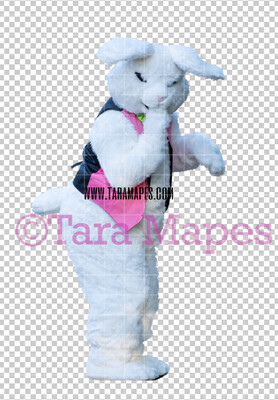 Easter Bunny -  Easter Bunny Clip Art - Easter Bunny Rabbit Cut Out  - Easter Overlay - Bunny PNG - File 2832