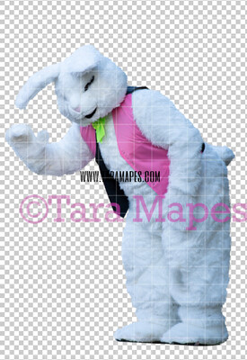 Easter Bunny -  Easter Bunny Clip Art - Easter Bunny Rabbit Cut Out  - Easter Overlay - Bunny PNG - File 2839