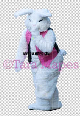 Easter Bunny -  Easter Bunny Clip Art - Easter Bunny Rabbit Cut Out  - Easter Overlay - Bunny PNG - File 2840