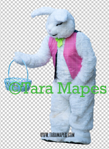 Easter Bunny - Easter Bunny Clip Art - Easter Bunny Rabbit Cut Out - Easter Overlay - Bunny PNG - File 2853