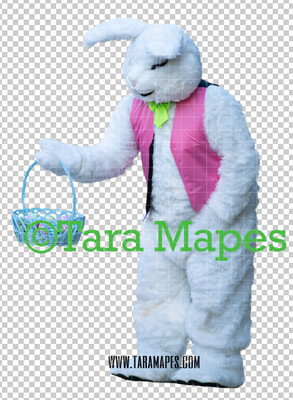 Easter Bunny -  Easter Bunny Clip Art - Easter Bunny Rabbit Cut Out  - Easter Overlay - Bunny PNG - File 2853
