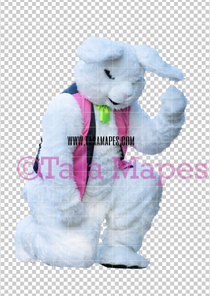 Easter Bunny - Easter Bunny Clip Art - Easter Bunny Rabbit Cut Out - Easter Overlay - Bunny PNG - File 2828