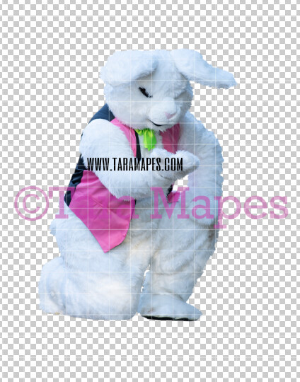 Easter Bunny - Easter Bunny Clip Art - Easter Bunny Rabbit Cut Out - Easter Overlay - Bunny PNG - File 2829