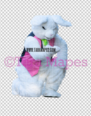 Easter Bunny -  Easter Bunny Clip Art - Easter Bunny Rabbit Cut Out  - Easter Overlay - Bunny PNG - File 2829