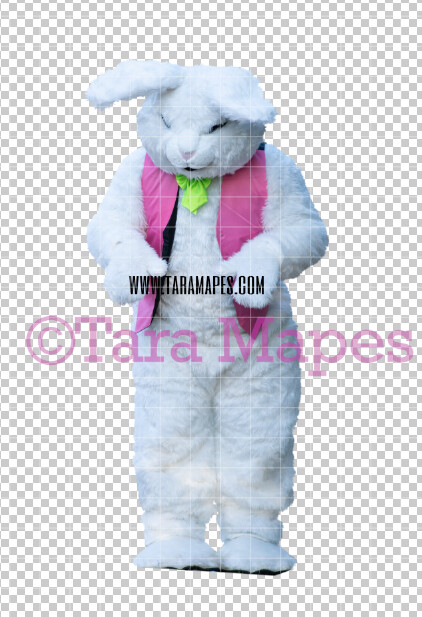 Easter Bunny -  Easter Bunny Clip Art - Easter Bunny Rabbit Cut Out  - Easter Overlay - Bunny PNG - File 2834
