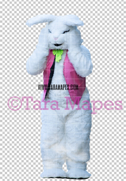 Easter Bunny - Easter Bunny Clip Art - Easter Bunny Rabbit Cut Out - Easter Overlay - Bunny PNG - File 2837