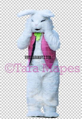 Easter Bunny -  Easter Bunny Clip Art - Easter Bunny Rabbit Cut Out  - Easter Overlay - Bunny PNG - File 2837