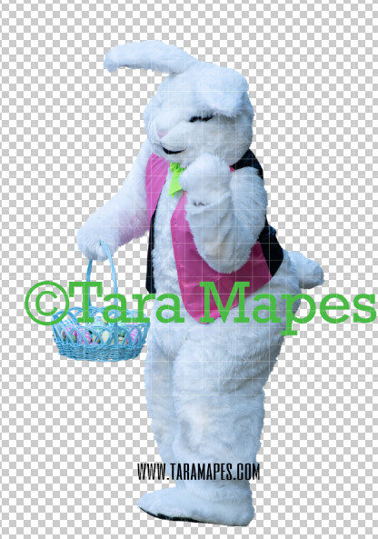 Easter Bunny -  Easter Bunny Clip Art - Easter Bunny Rabbit Cut Out  - Easter Overlay - Bunny PNG - File 2858