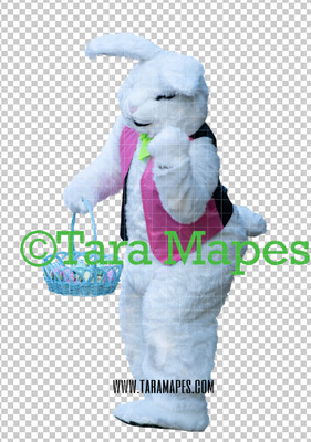 Easter Bunny -  Easter Bunny Clip Art - Easter Bunny Rabbit Cut Out  - Easter Overlay - Bunny PNG - File 2858