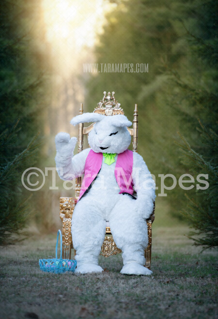 Easter Bunny Sitting in Throne - Easter Rabbit in Enchanted Forest JPG file - Photoshop Digital Background / Backdrop