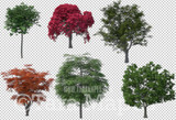 6 Blurred Tree Overlays - PNG file of Blurred Trees