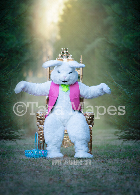Easter Bunny Sitting in Throne with Arms Out- Easter Rabbit in Enchanted Forest JPG file - Photoshop Digital Background / Backdrop