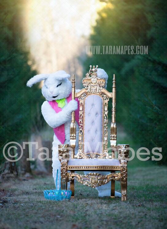 Easter Bunny Peeking from Throne- Easter Rabbit in Enchanted Forest JPG file - Photoshop Digital Background / Backdrop