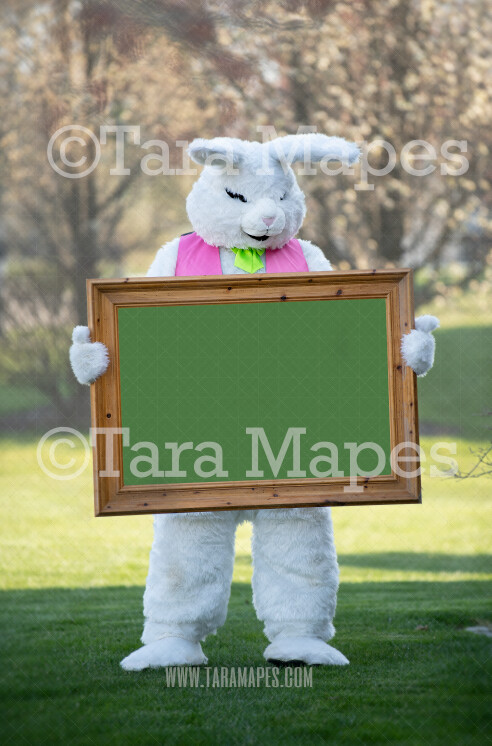 10 Easter Bunny Digital Backgrounds in both JPEG /& PNG formats