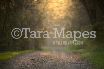 Glowing Path - Spring Path with Glowing Sun - Sunset on dirt road  - Digital Background by Tara Mapes