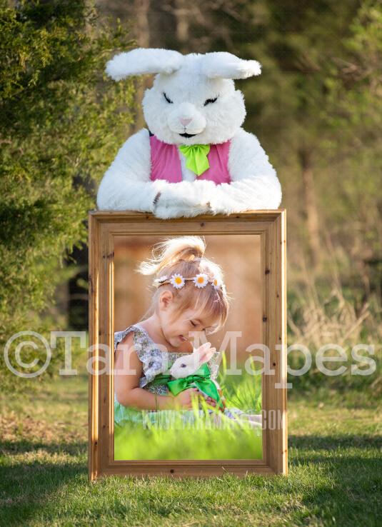 Easter Bunny Frame - Easter Bunny Holding a Frame (file4) - Fun Easter Digital - JPG file - Photoshop Digital Background / Backdrop