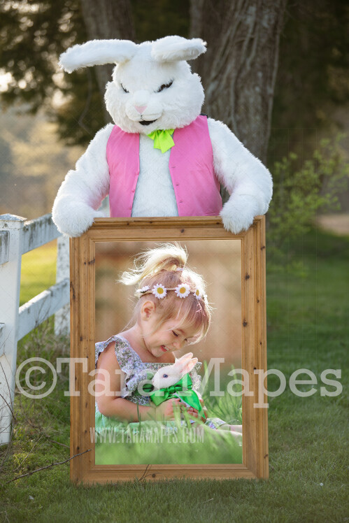 Easter Bunny Frame - Easter Bunny Holding a Frame (file5) - Fun Easter Digital - JPG file - Photoshop Digital Background / Backdrop