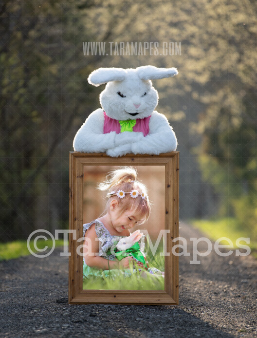 Easter Bunny Frame - Easter Bunny Holding a Frame (file8) - Fun Easter Digital - JPG file - Photoshop Digital Background / Backdrop