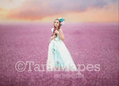 Field of Pink Flowers - Violet Flowers - Field of Flowers - Field of Heather- JPG file - Photoshop Digital Background / Backdrop