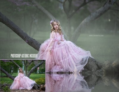 The Mist Painterly Photoshop Tutorial- Skin &amp; Portrait Retouch Action Workflow Set Included- Fine Art Tutorial by Tara Mapes