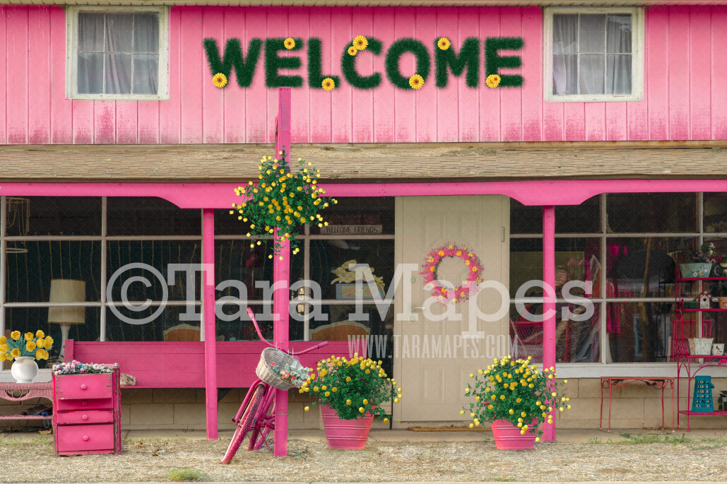 Pink and Yellow Storefront- Digital Background Backdrop - Pink Shop with Daisy Flowers and Tulips - Spring Shoppe - JPG file Digital Background