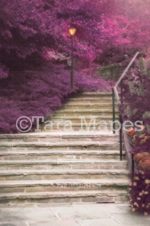 Magical Fairytale stairs- Castle Stairs - Soft Creamy Background - JPG file - Photoshop Digital Background / Backdrop