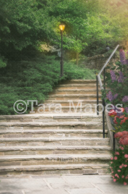 Magical Fairytale stairs- Castle Stairs - Diffused Soft Creamy Background - JPG file - Photoshop Digital Background / Backdrop