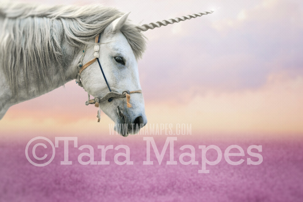 Unicorn in Field of Flowers Cropped Up Close - Field of Heather with Horse Unicorn JPG Digital Background Backdrop
