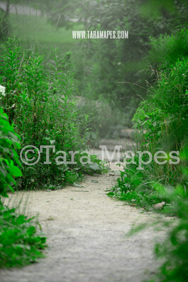 Garden Path Digital Background - Garden Path - Digital Backdrop  for Portraits by Tara Mapes