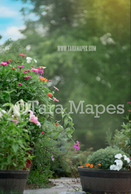 Garden Walkway - Flower Path - Digital Background-  Nature Digital Backdrop