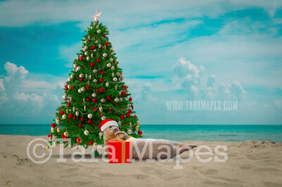 Christmas Seal Pup Digital Background - Christmas Tree on Beach - Christmas Seal on Beach - Summer Christmas Beach - Beach Christmas Holiday Digital Background Backdrop Christmas Seal Pup Digital Background - Christmas Tree on Beach - Christmas Seal on Beach - Summer Christmas Beach - Beach Christmas Holiday Digital Background Backdrop