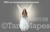 Tooth Fairy Overlay  PNG - Toothfairy Clip Art - Tooth Fairy Flying PNG - Tooth Fairy on Transparent Background