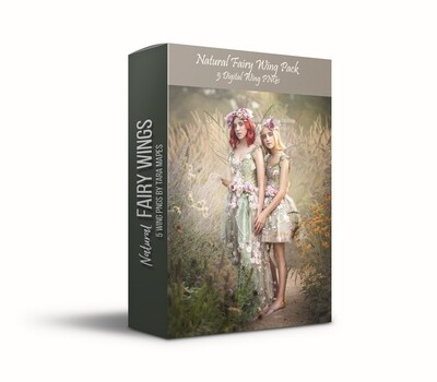 Natural Fairy Wing Overlays - 5 Natural Fairy Wing PNGs - Fairy Wing Overlays
