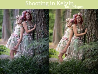 Shooting in Kelvin