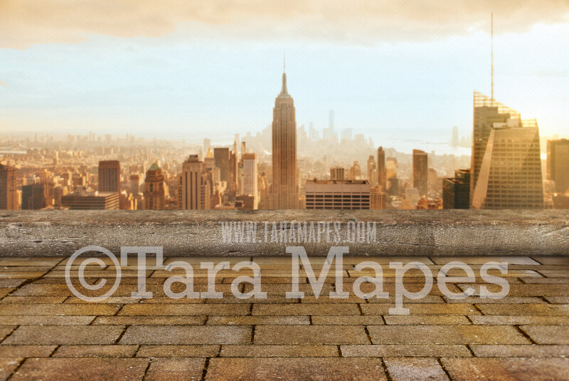 Superhero Digital Backdrop - Building Rooftop New York City - Superhero Roof over City - Superhero City Digital Background