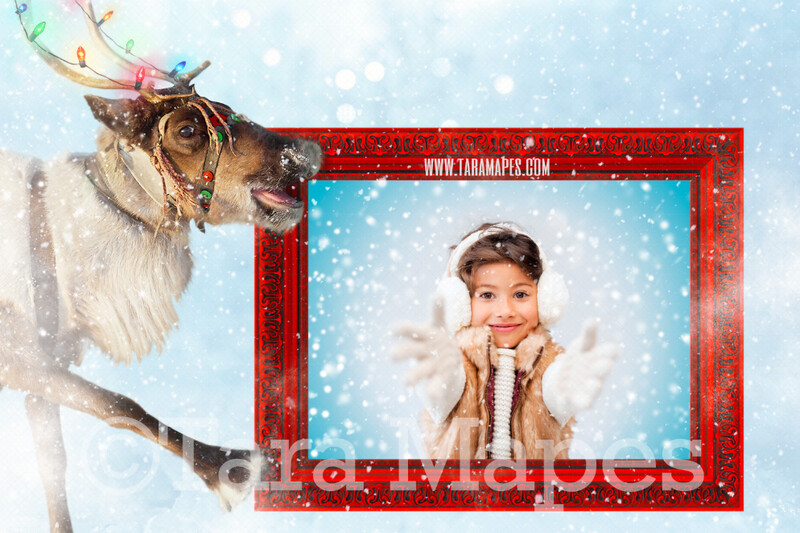 Reindeer Digital Backdrop - Reindeer with Picture Frame-  Reindeer Frame - Holiday Christmas Digital Background - FREE snow overlay included