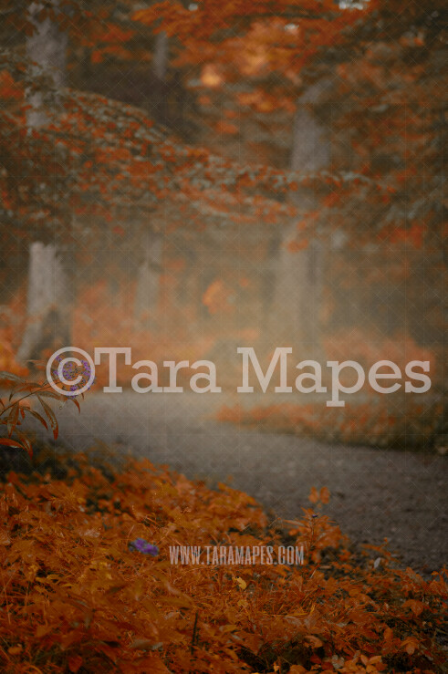 Autumn Digital Backdrop - Dreamy Nature Autumn Path in Forest with Orange Leaves - Digital Background by Tara Mapes
