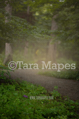 Spring Digital Backdrop - Dreamy Nature Spring Path in Forest Creamy - Digital Background by Tara Mapes