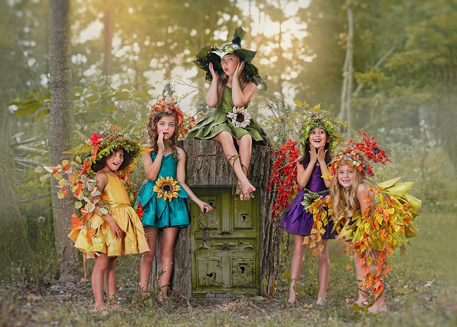 Fairy Tree Door Backdrop - Magical Fairy Door - Natural Digital Background