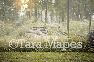 Forest Clearing - Fairy Setting - Natural Digital Background