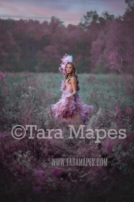 Field of Purple Lavender Flowers at Dusk - Flowering Field - Field of Flowers Digital Background / Backdrop