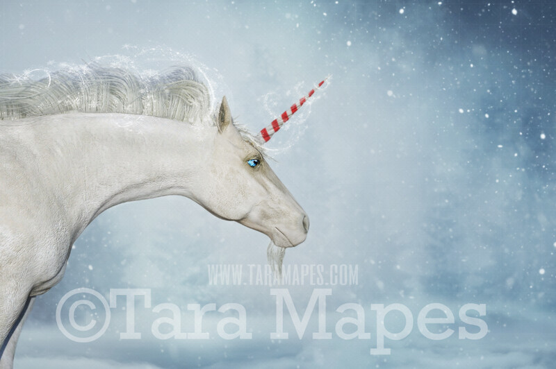 Christmas Unicorn - WInter Unicorn - Unicorn in Snow - Snow Unicorn - Christmas Holiday Digital Background
