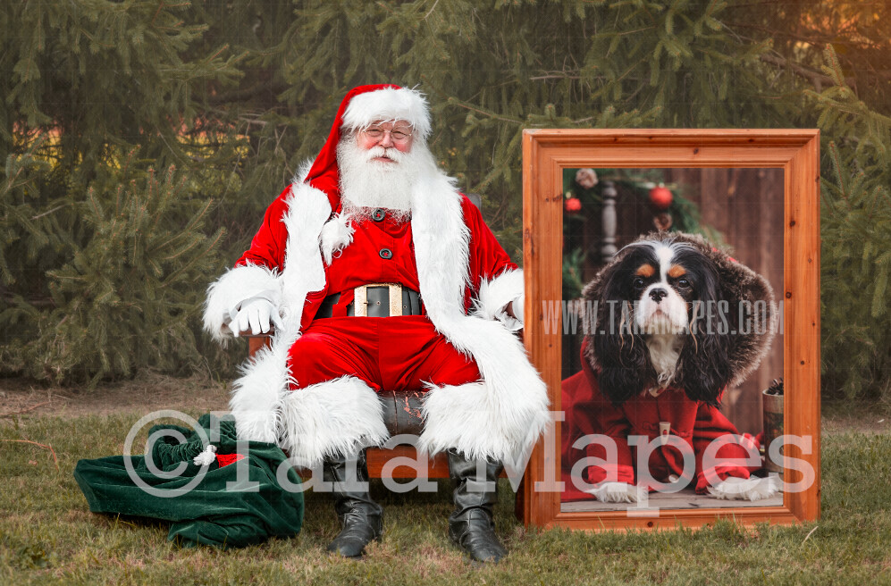Santa Frame Digital Backdrop - Santa Holding Frame - Free Snow Overlay Included - Santa Christmas Digital Backdrop by Tara Mapes