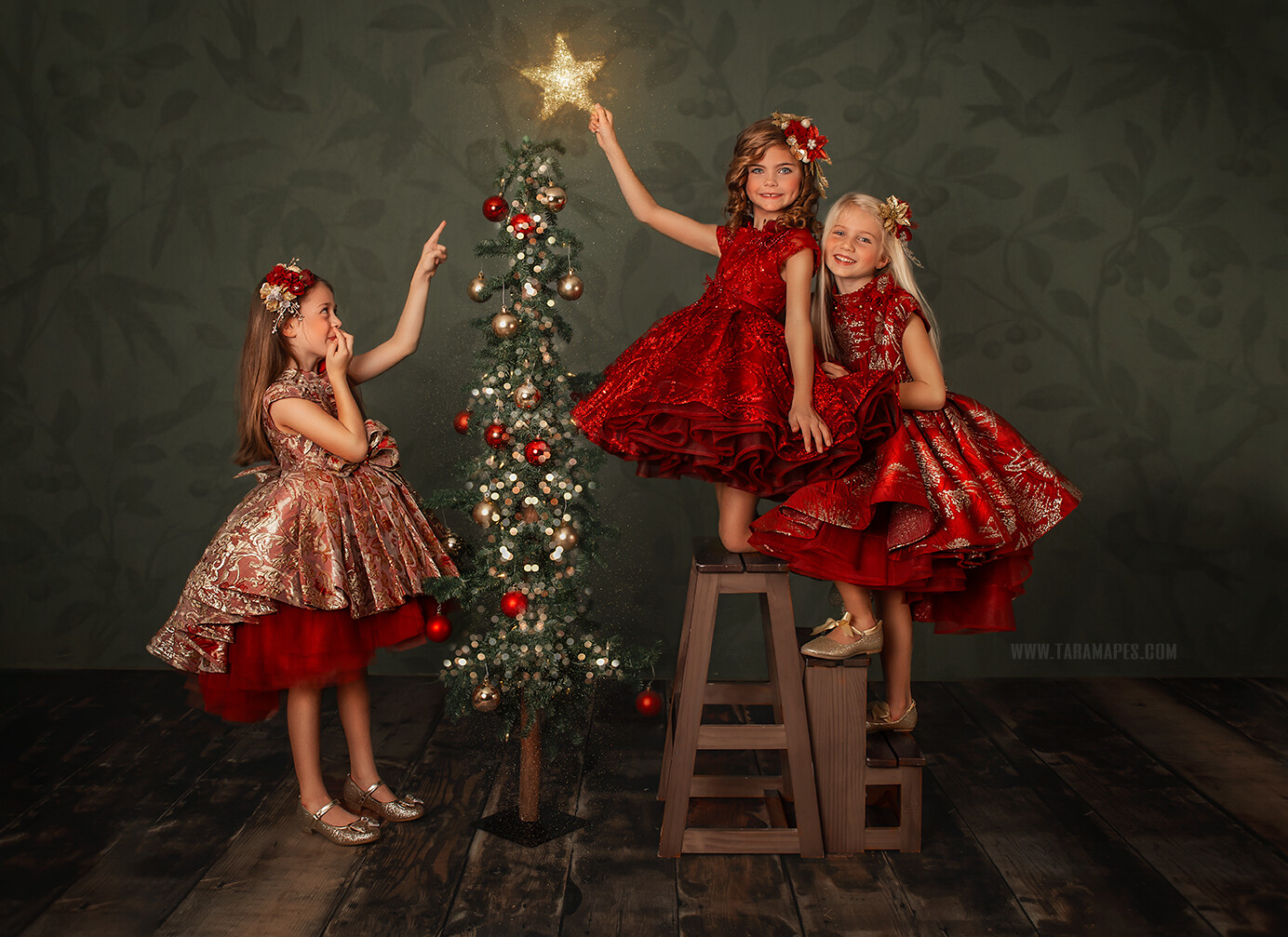 Studio Christmas Digital Backdrop - Christmas Tree in Studio  - Ladder and Christmas Tree Christmas Digital Background by Tara Mapes
