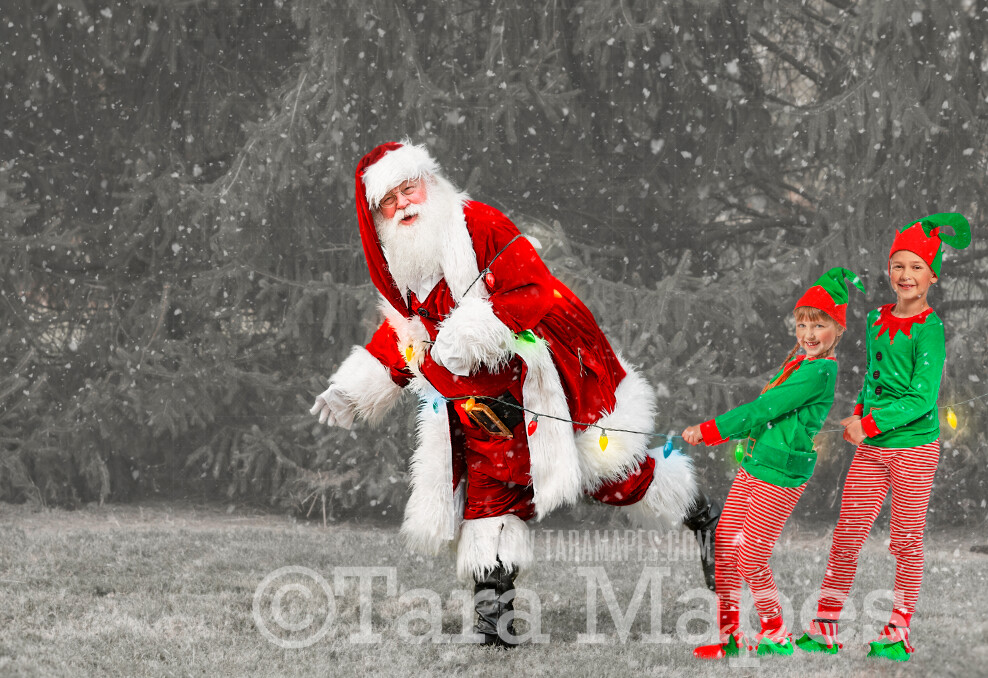 Santa Digital Backdrop - Santa Tied up with Christmas Lights - Funny Santa Backdrop - Free Snow Overlay Included - Santa Christmas Digital Backdrop by Tara Mapes