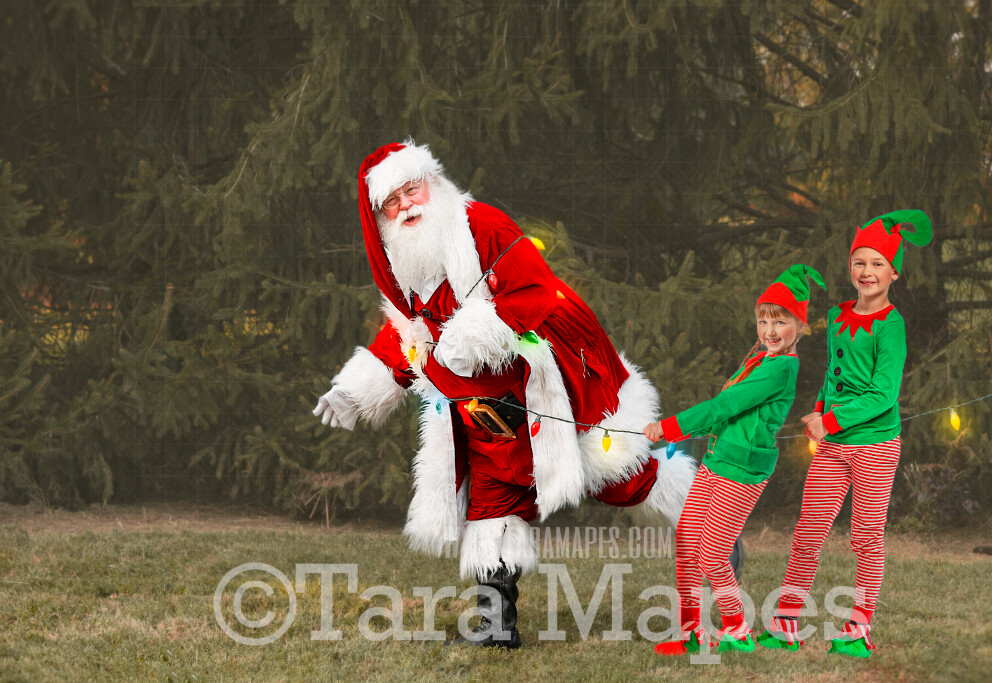 Santa Digital Backdrop - Santa Tied Up with Christmas Lights - Funny Santa Tied Up - Christmas Digital Backdrop by Tara Mapes